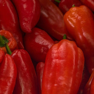 Marconi Italian Pepper Seeds - The Pepper Pantry (Formerly Marie Sharp's)